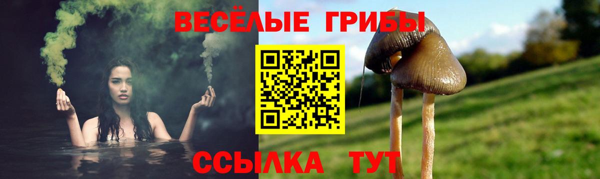 Галлюциногенные грибы ЛСД Полевской